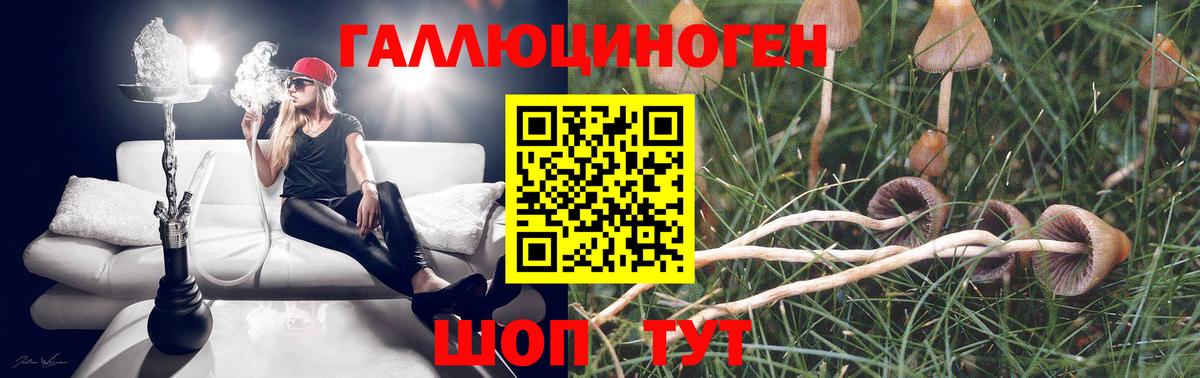Галлюциногенные грибы MAGIC MUSHROOMS  купить  сайты  Нововоронеж  Вход с VPN 